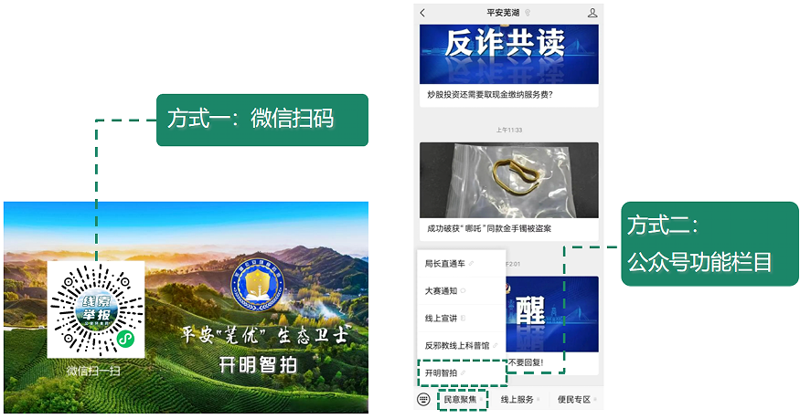 开明智拍4.png