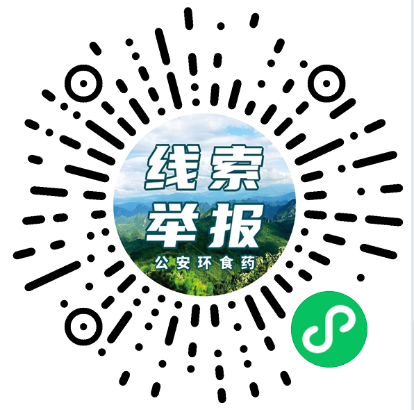 开明智拍5.png